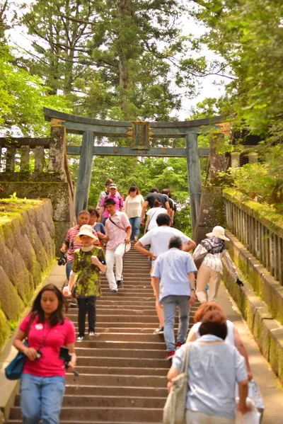 DSC_3892 (Large).JPG